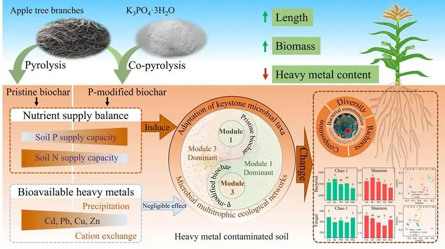 Graphical Abstract