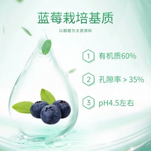 蓝莓栽培基质