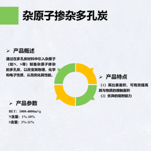 杂原子掺杂多孔炭